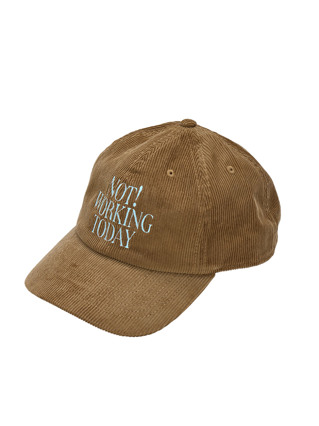 2026 AUTUMN CORDUROY CAP